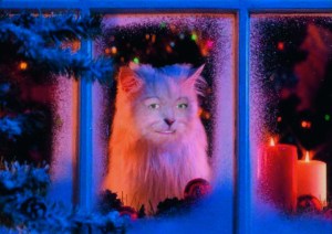Christmas Cat